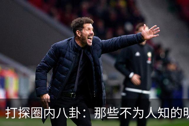 打探圈内八卦：那些不为人知的明星趣事